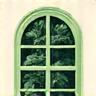 Biophilic design icon with plant and leaf elements